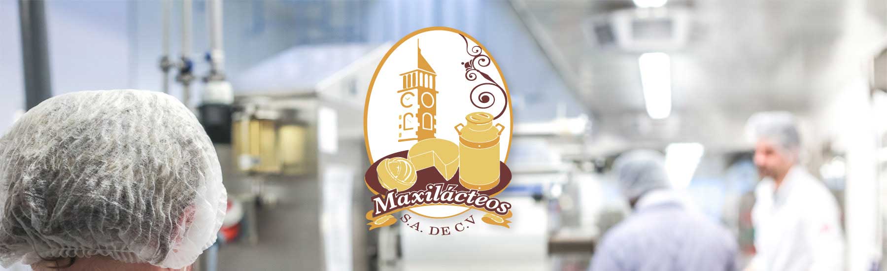Vista fabrica queso maxilacteos