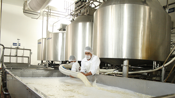 Fabrica de quesos Maxilacteos