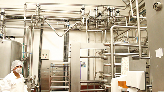 Fabrica de quesos Maxilacteos