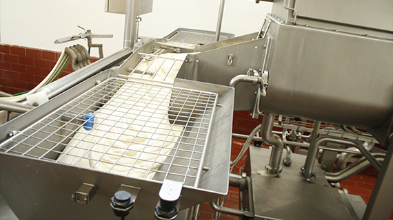 Fabrica de quesos Maxilacteos