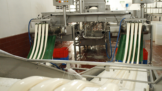 Fabrica de quesos Maxilacteos