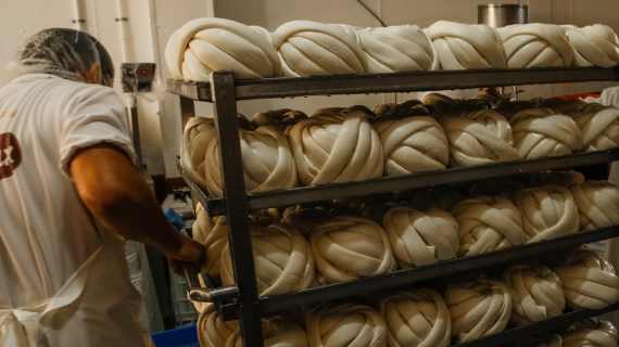 Fabrica de quesos Maxilacteos