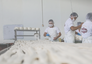 Produccion maxilacteos