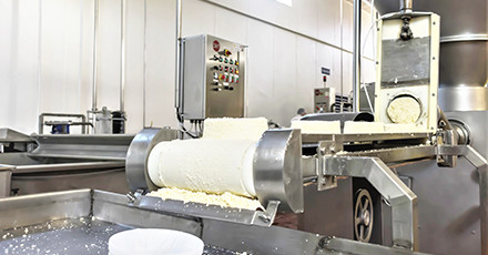 Estandares y calidad de quesos maxilácteos