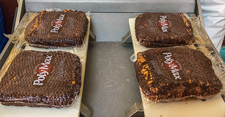 Empaquetado producto calidad quesos maxilácteos